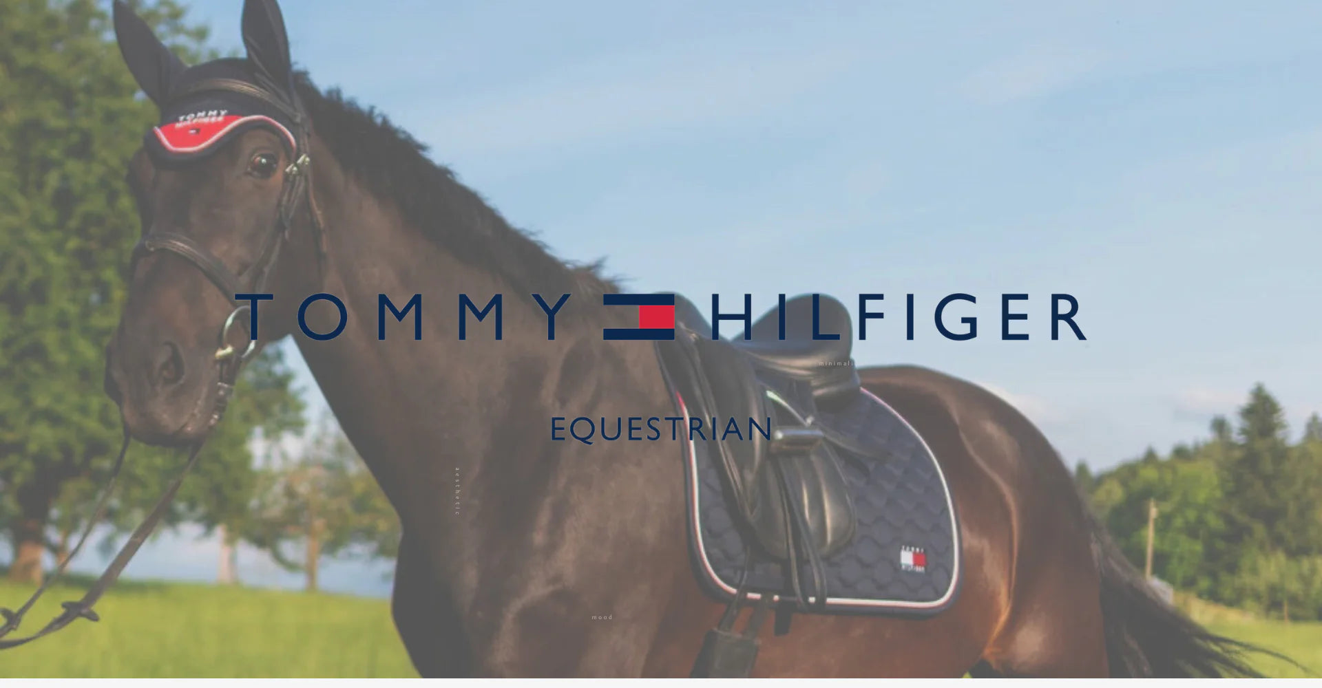 Tommy Hilfiger Equestrian新作入荷のお知らせ【2024/5/22】 – 乗馬用品店レクシア