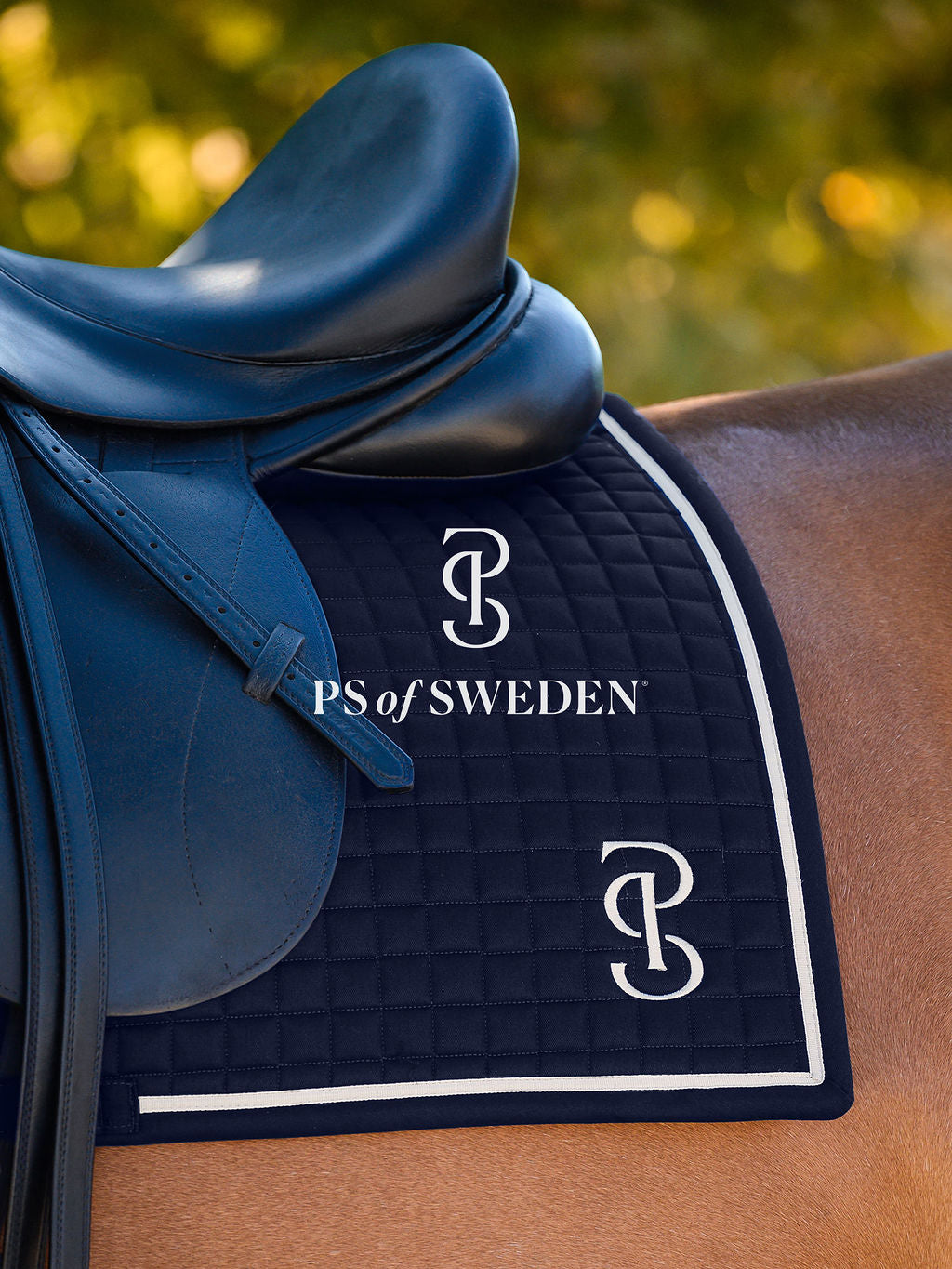 滑り止め付き乗馬用ゼッケン 馬場用 アナトミカル構造 5色 Ps of Sweden