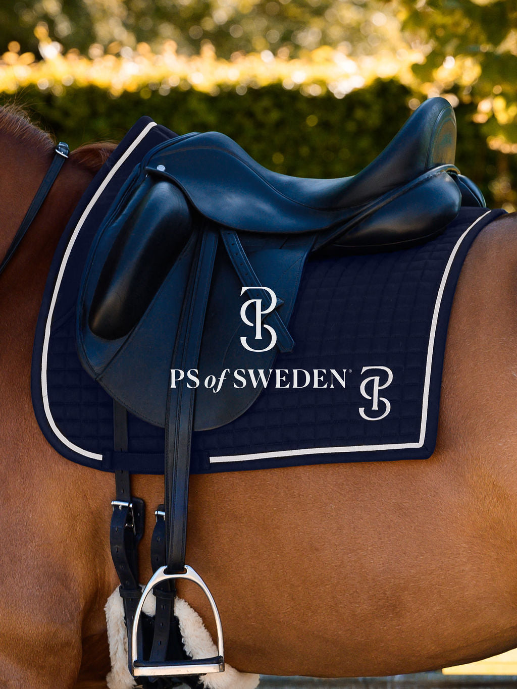 滑り止め付き乗馬用ゼッケン 馬場用 アナトミカル構造 5色 Ps of Sweden