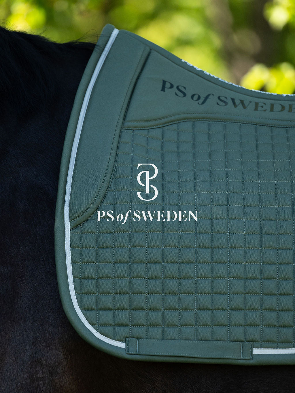 滑り止め付き乗馬用ゼッケン 馬場用 アナトミカル構造 5色 Ps of Sweden