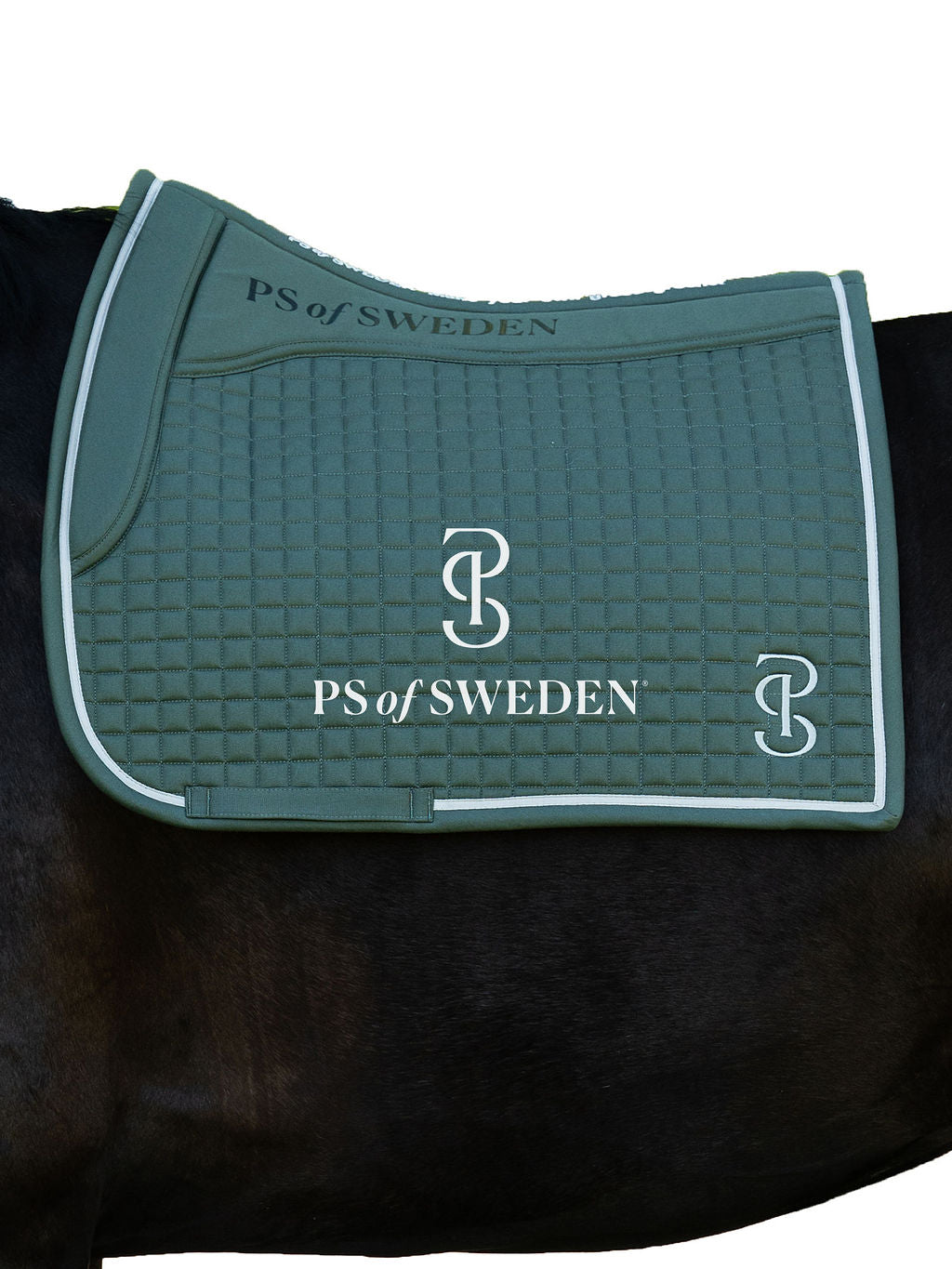 滑り止め付き乗馬用ゼッケン 馬場用 アナトミカル構造 5色 Ps of Sweden