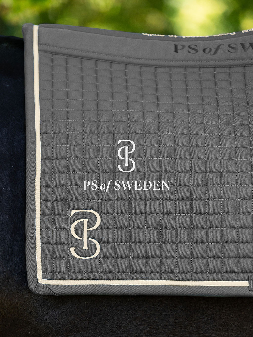 滑り止め付き乗馬用ゼッケン 馬場用 アナトミカル構造 5色 Ps of Sweden