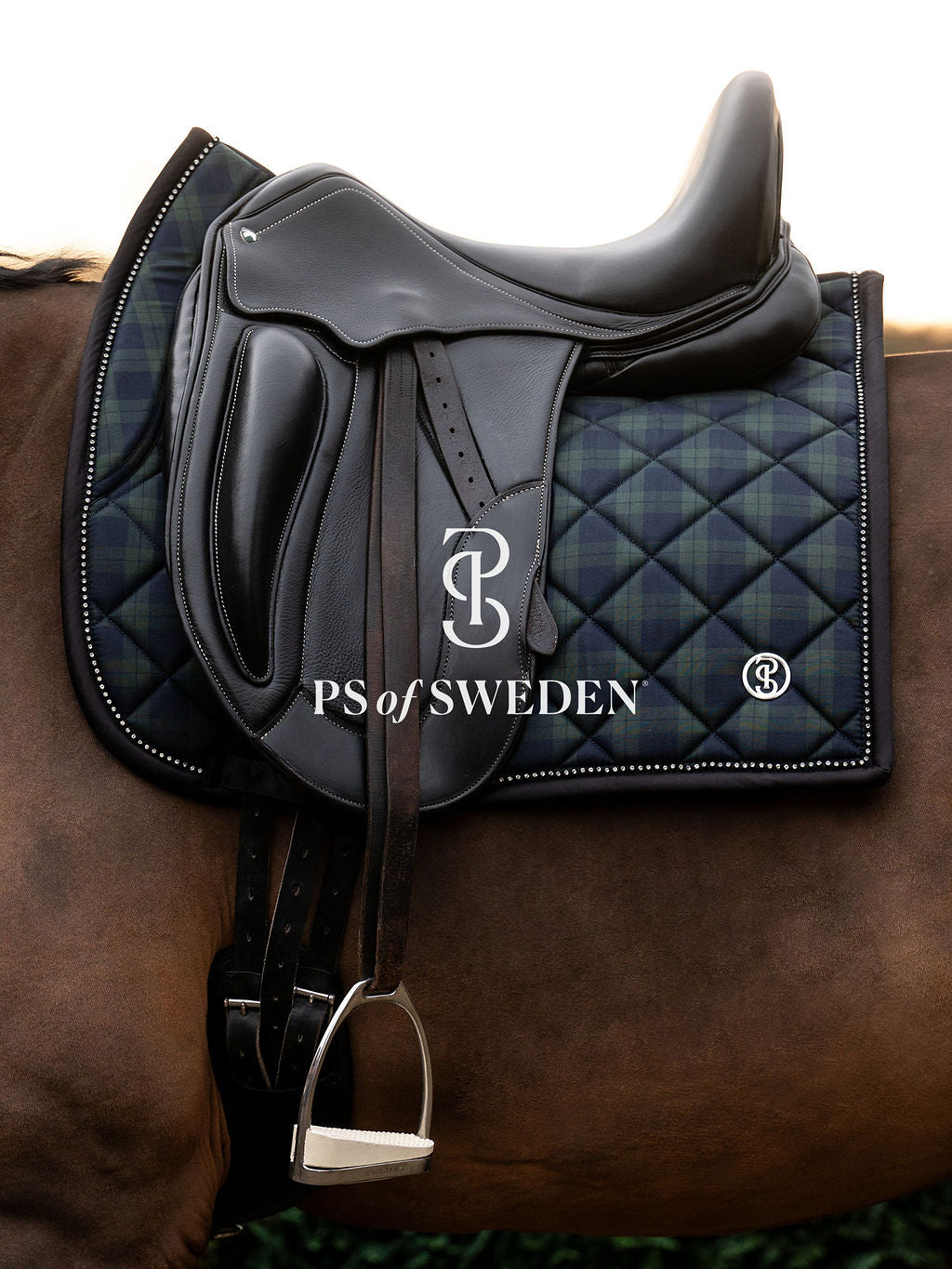 チェック柄ゼッケン 吸汗速乾性 アナトミカル構造 障害/馬場 Ps of Sweden