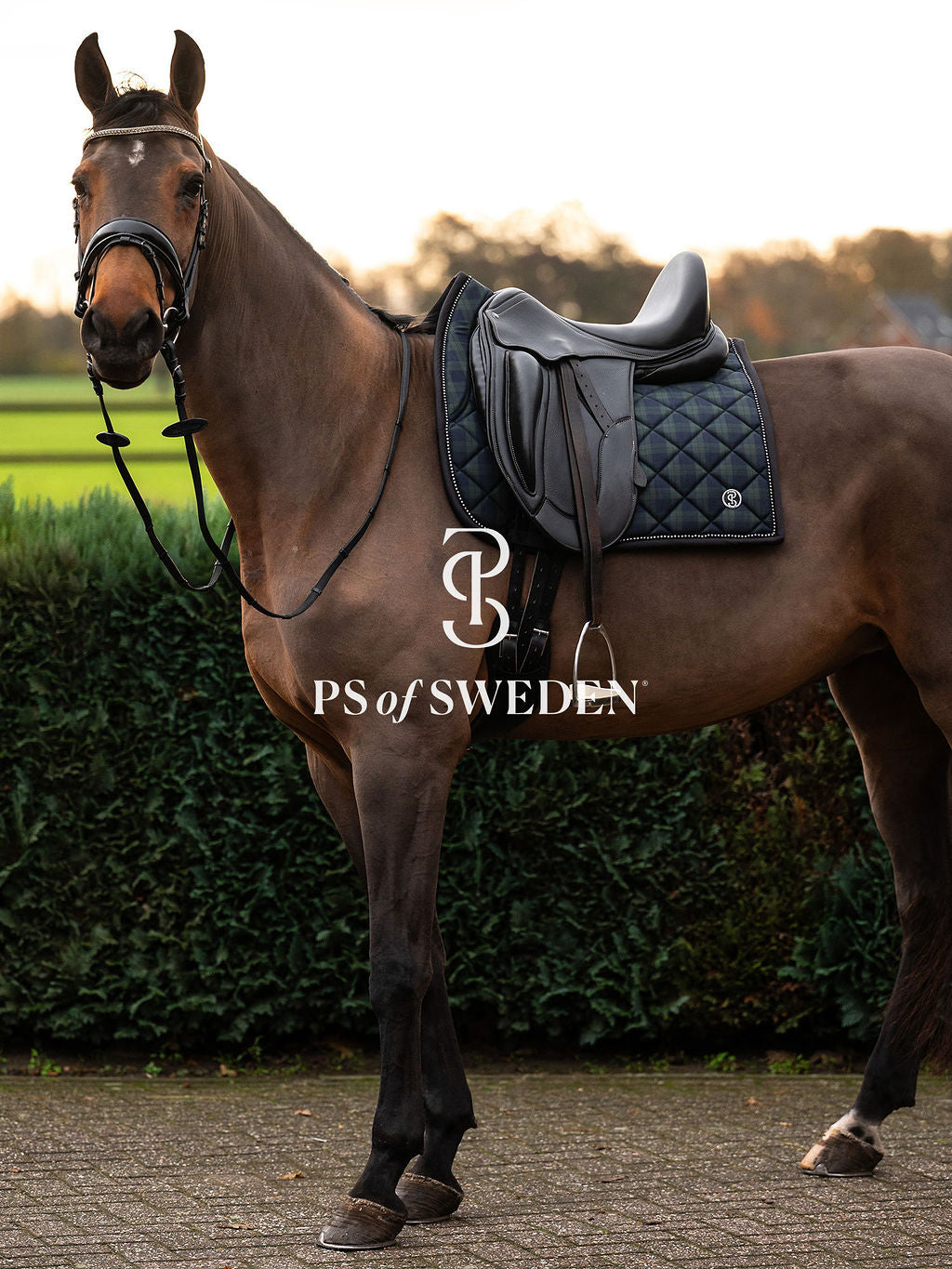 チェック柄ゼッケン 吸汗速乾性 アナトミカル構造 障害/馬場 Ps of Sweden