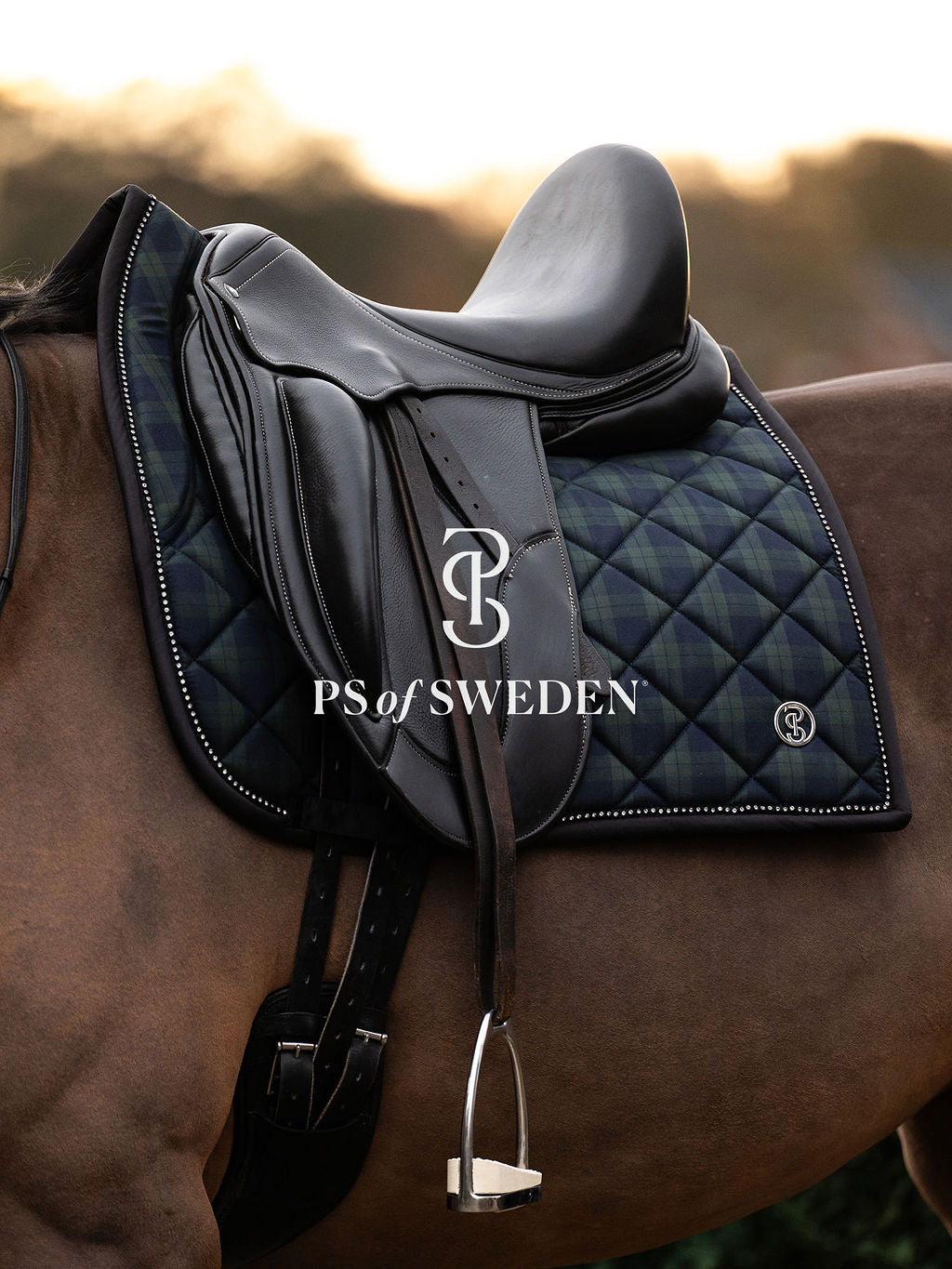 チェック柄ゼッケン 吸汗速乾性 アナトミカル構造 障害/馬場 Ps of Sweden