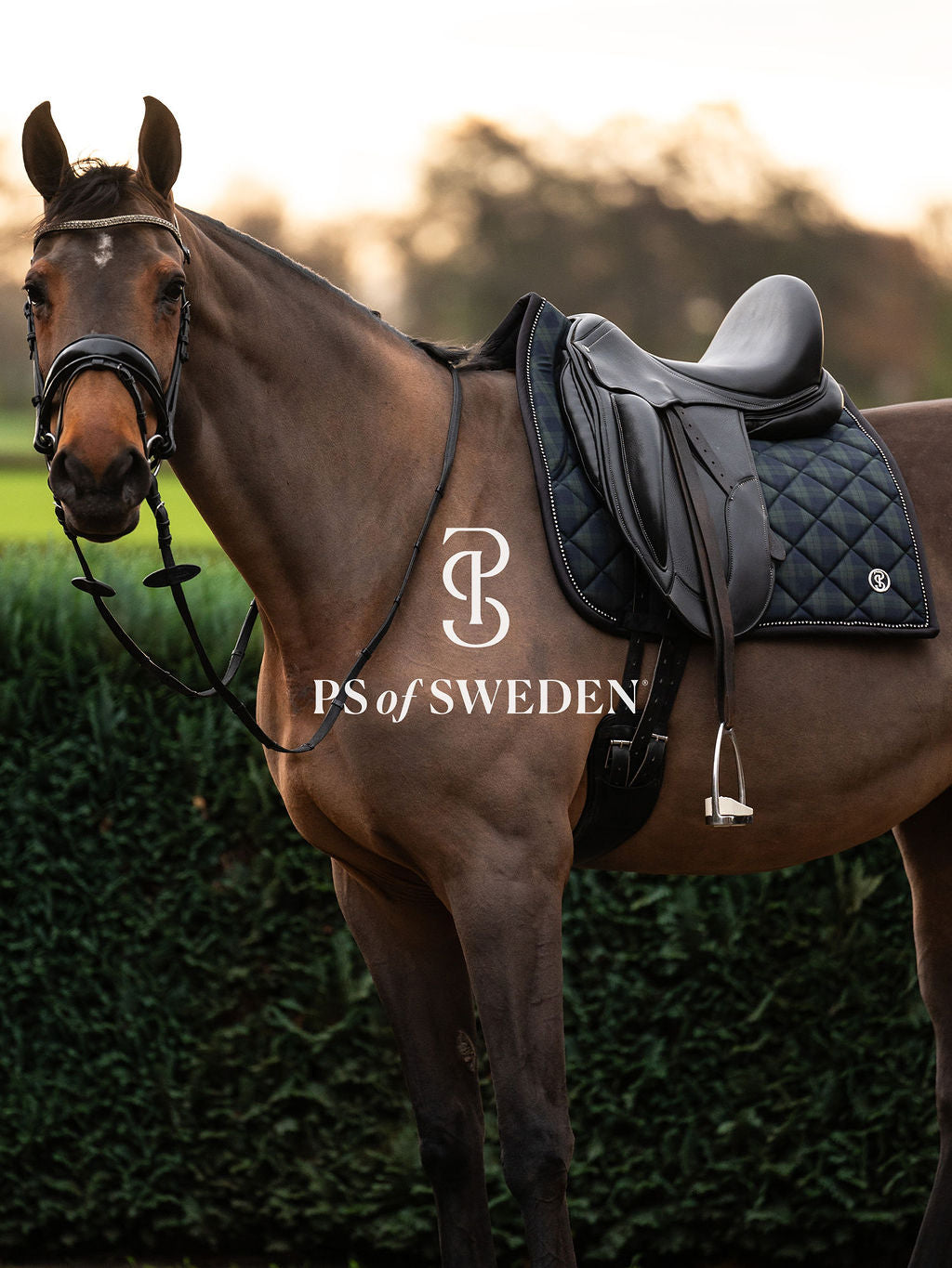 チェック柄ゼッケン 吸汗速乾性 アナトミカル構造 障害/馬場 Ps of Sweden