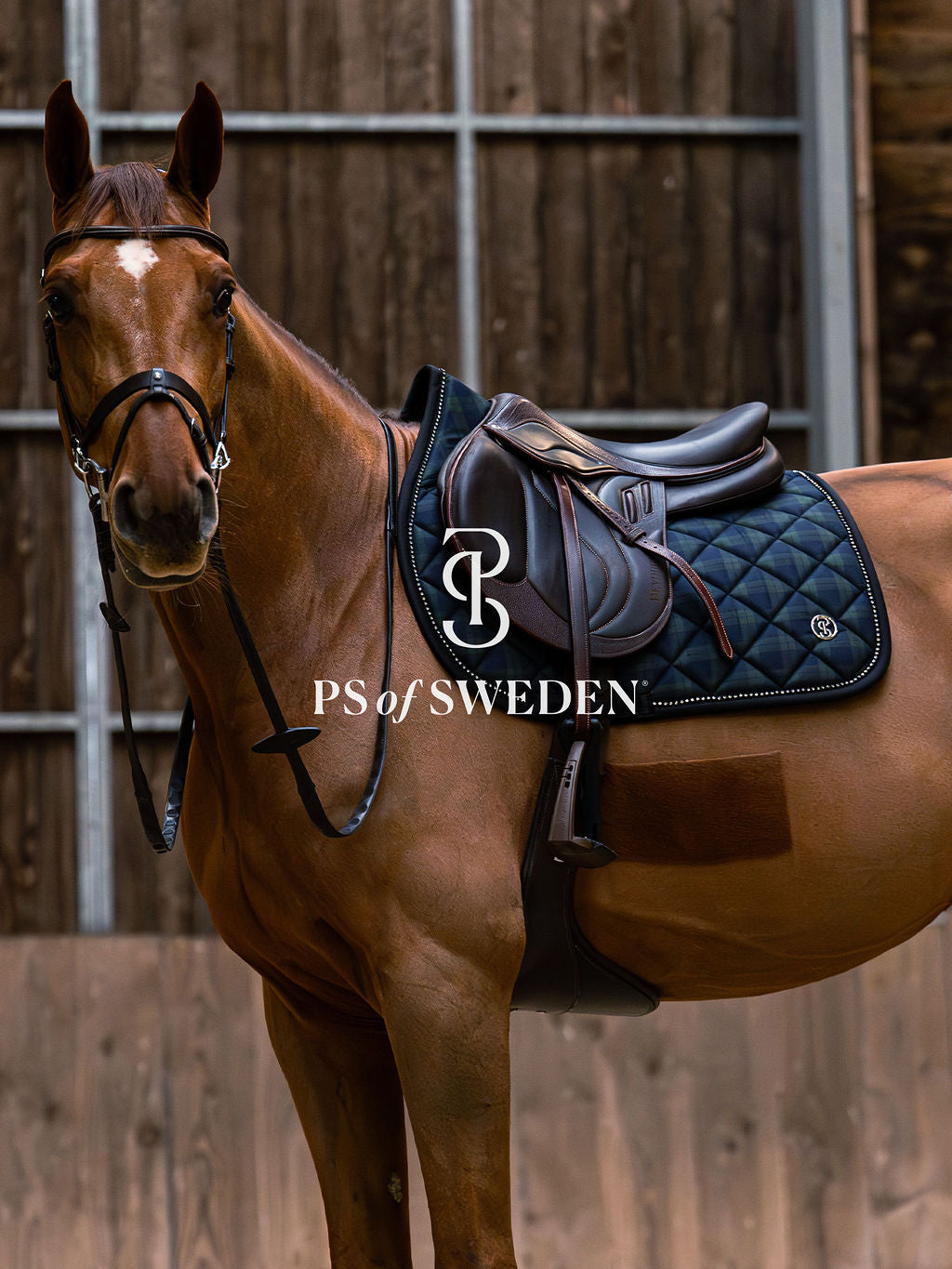 チェック柄ゼッケン 吸汗速乾性 アナトミカル構造 障害/馬場 Ps of Sweden