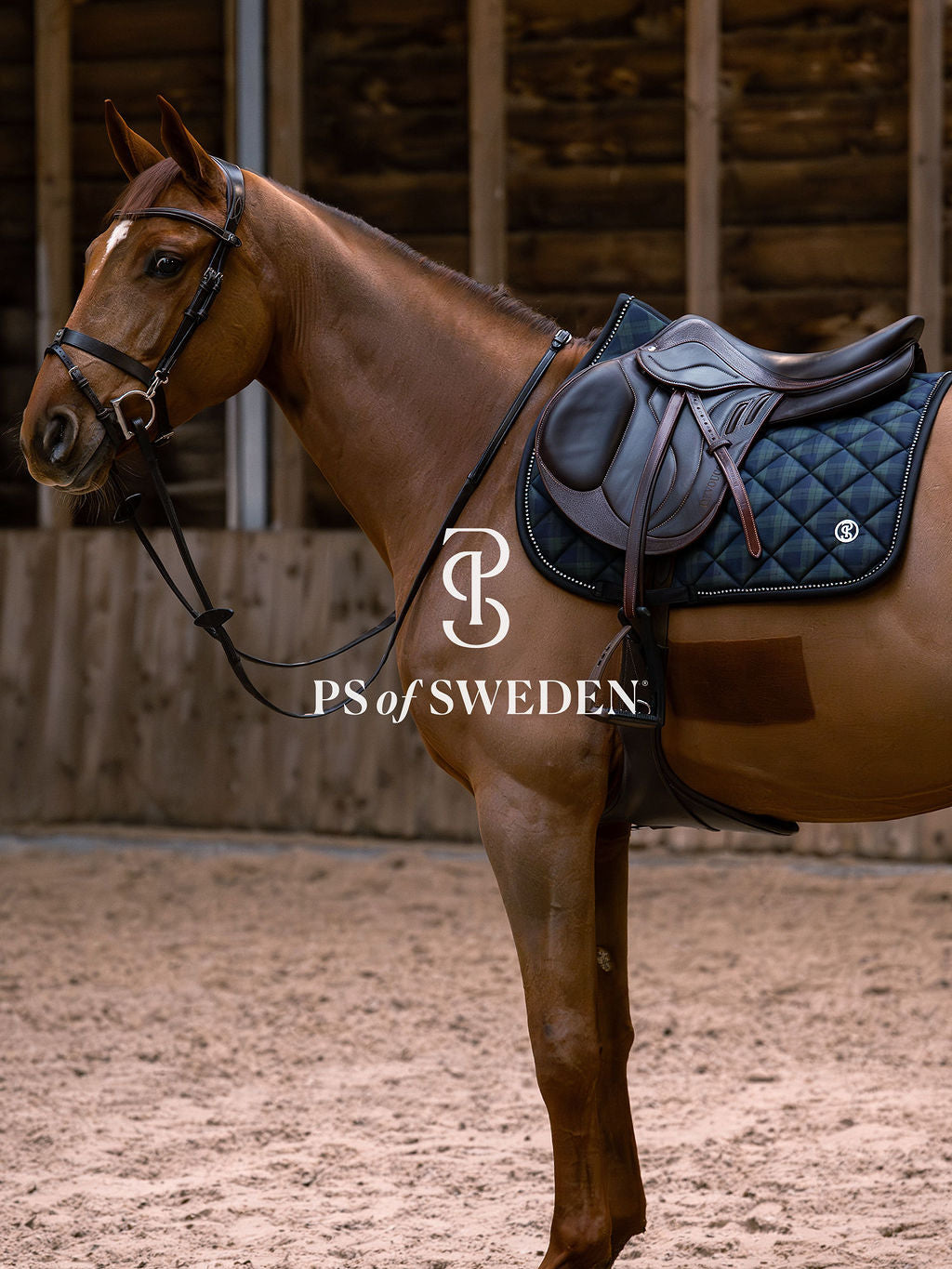 チェック柄ゼッケン 吸汗速乾性 アナトミカル構造 障害/馬場 Ps of Sweden
