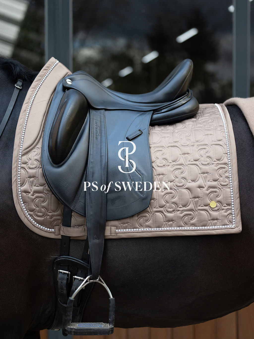 Racecourse bib Dinja Collection Anatomical construction 3 colors Ps of Sweden