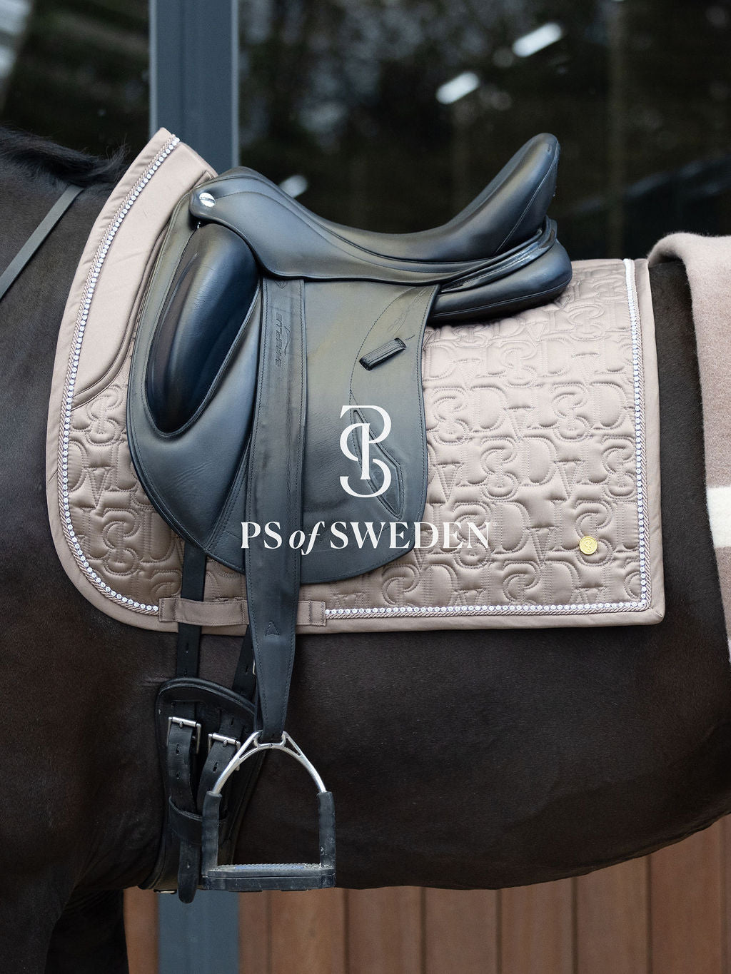 Racecourse bib Dinja Collection Anatomical construction 3 colors Ps of Sweden
