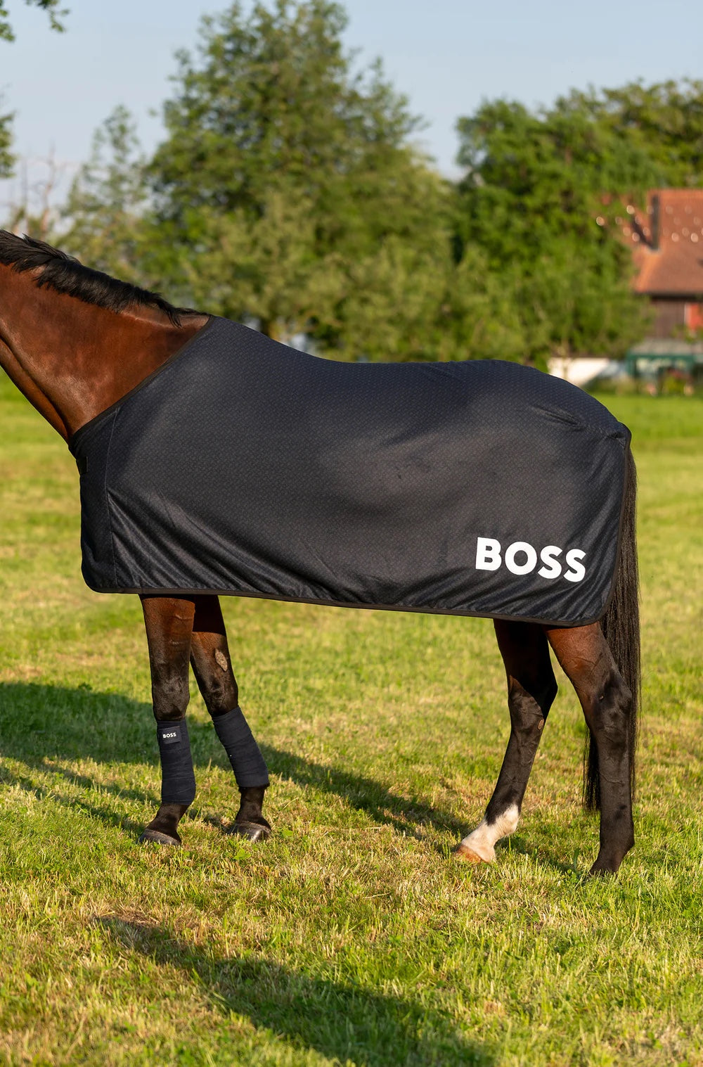 クーラー化粧馬着 ネイビー/オリーブ/キャメル Hugo Boss