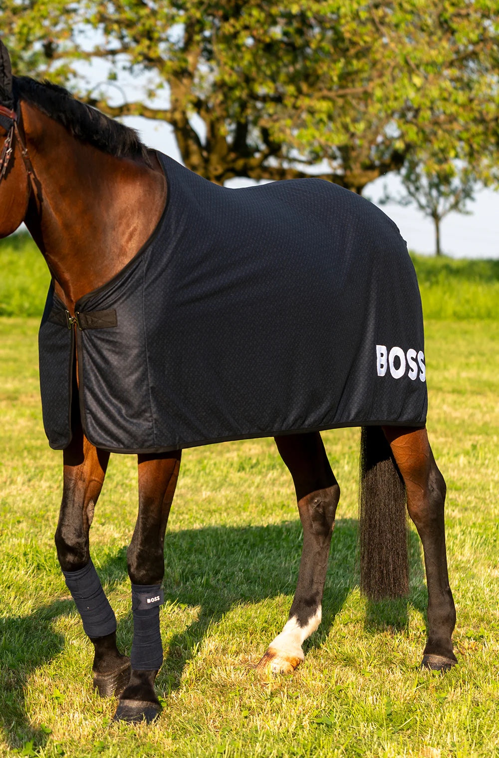 クーラー化粧馬着 ネイビー/オリーブ/キャメル Hugo Boss