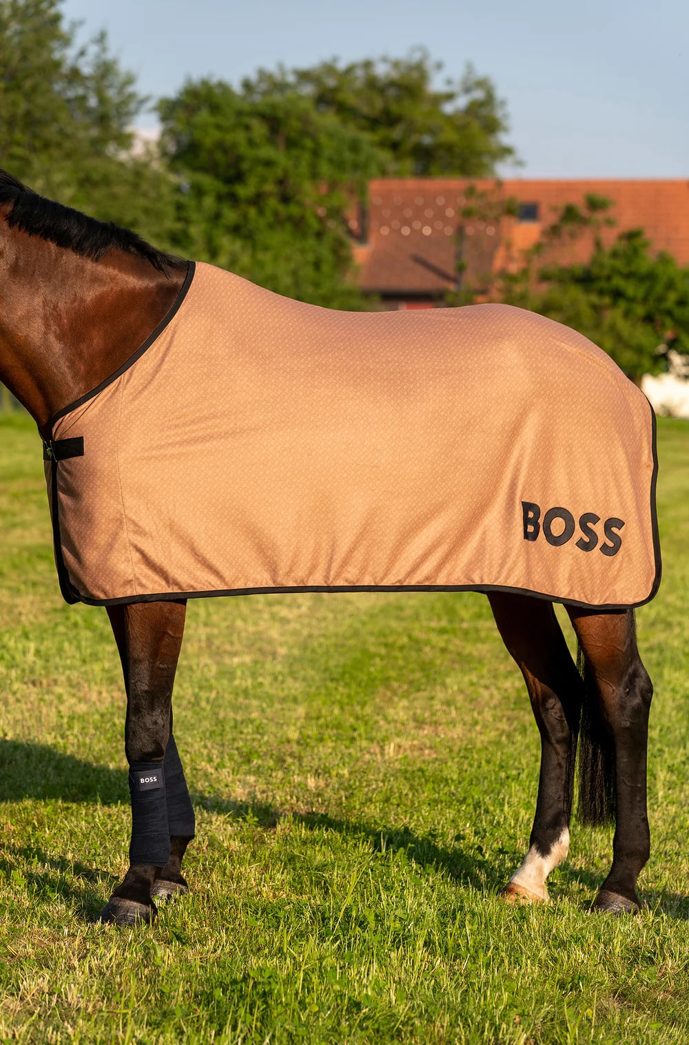 クーラー化粧馬着 ネイビー/オリーブ/キャメル Hugo Boss