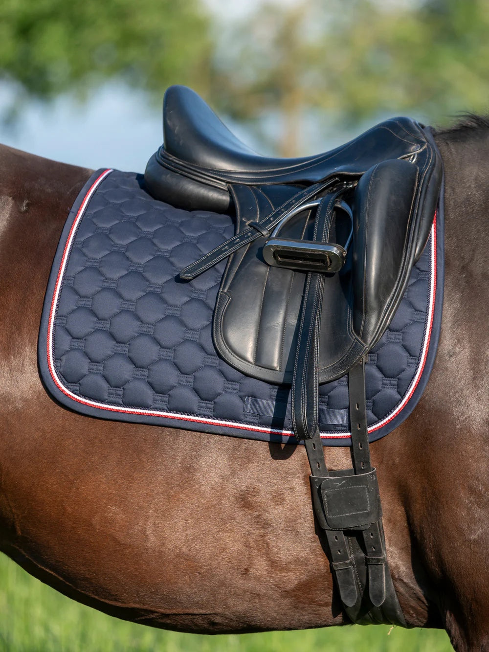 キルティングゼッケン 障害/馬場用 ネイビー/レッド フル Tommy Hilfiger Equestrian