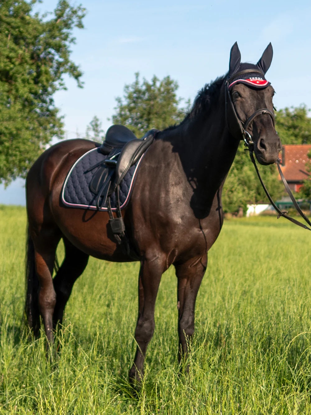 キルティングゼッケン 障害/馬場用 ネイビー/レッド フル Tommy Hilfiger Equestrian