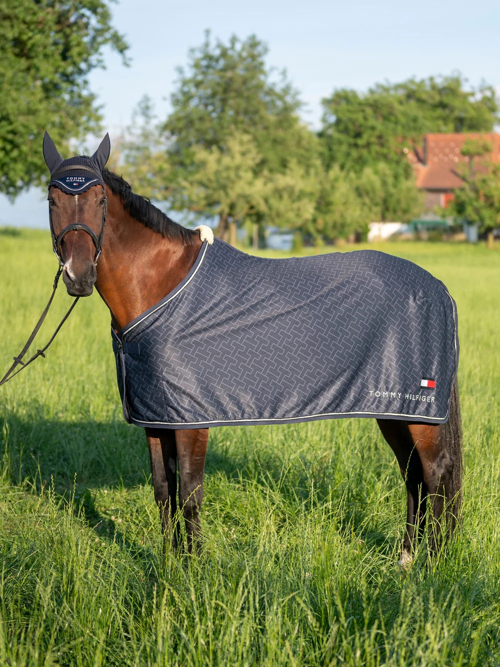 Satin Lightweight Ear Net Navy Full Tommy Hilfiger Euqestrian