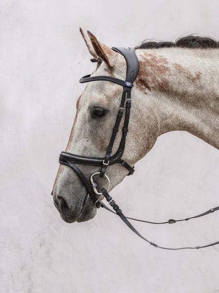 頭絡 障害・馬場馬術兼用 特許出願デザイン コンビ鼻革付き ブラック ブラウン PS of Sweden