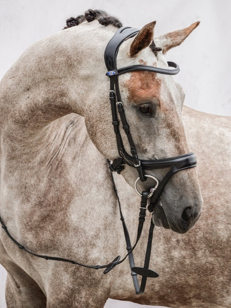 頭絡 障害・馬場馬術兼用 特許出願デザイン コンビ鼻革付き ブラック ブラウン PS of Sweden