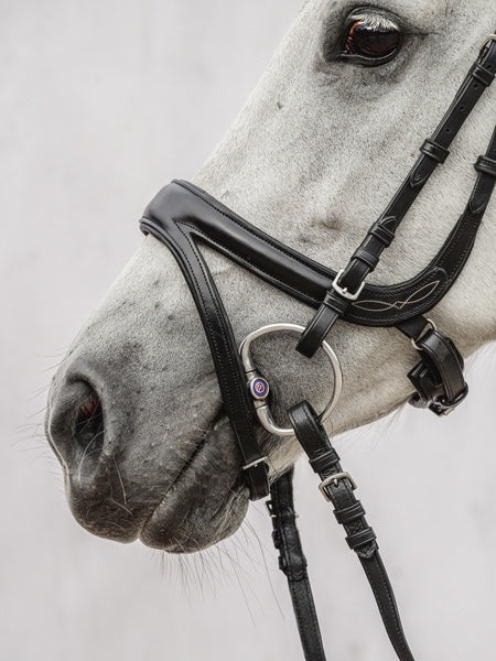 頭絡 障害・馬場馬術兼用 特許出願デザイン コンビ鼻革付き ブラック ブラウン PS of Sweden
