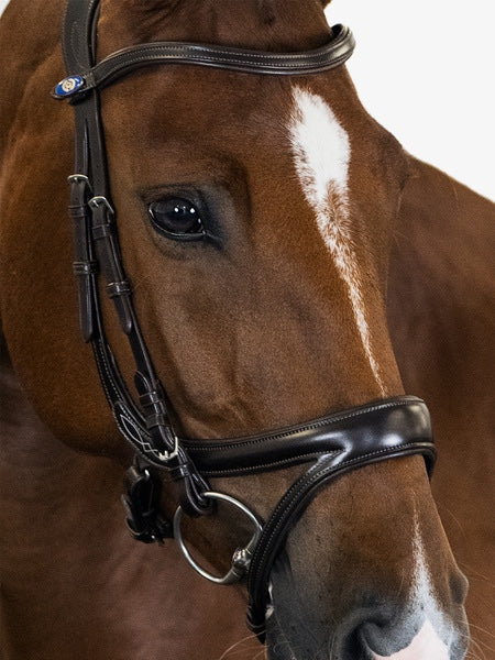 頭絡 障害・馬場馬術兼用 特許出願デザイン コンビ鼻革付き ブラック ブラウン PS of Sweden