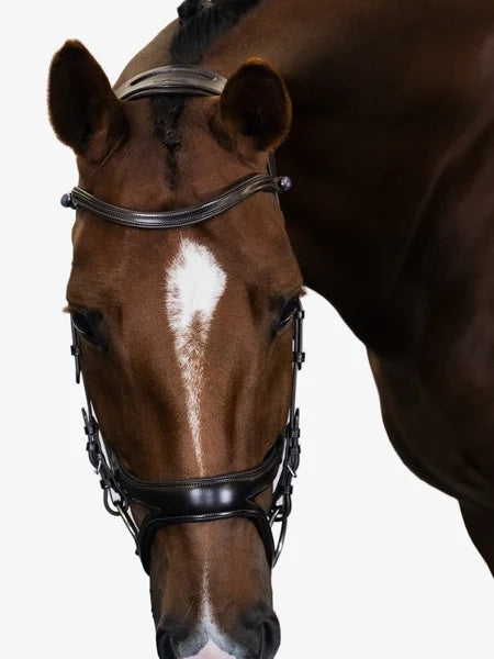 頭絡 障害・馬場馬術兼用 特許出願デザイン コンビ鼻革付き ブラック ブラウン PS of Sweden