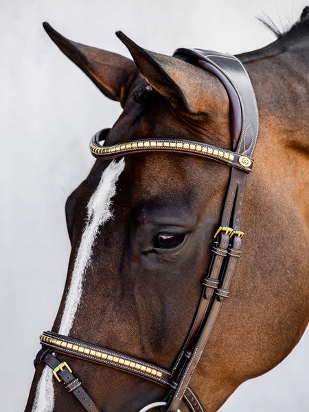 クリンチャー頭絡 障害・馬場馬術兼用 ブラウン PS of Sweden