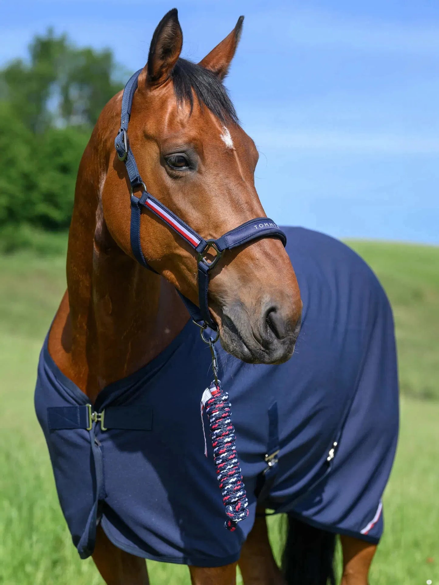 静電気防止フリース馬着 ネイビー/パイン Tommy Hillfiger Equestrian 化粧馬着
