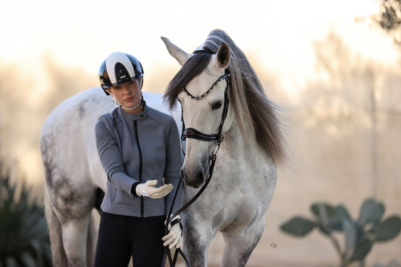 スワロフスキーUシェイプ額革 ブラックミックス ICE Equestrian