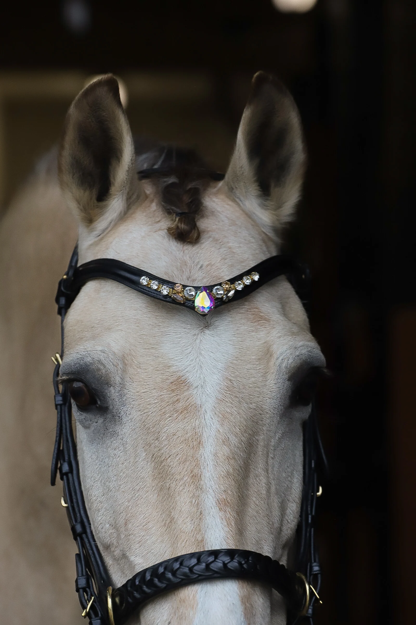 Italian Leather Frame Leather Aurora Diamond Black/Brown Masego