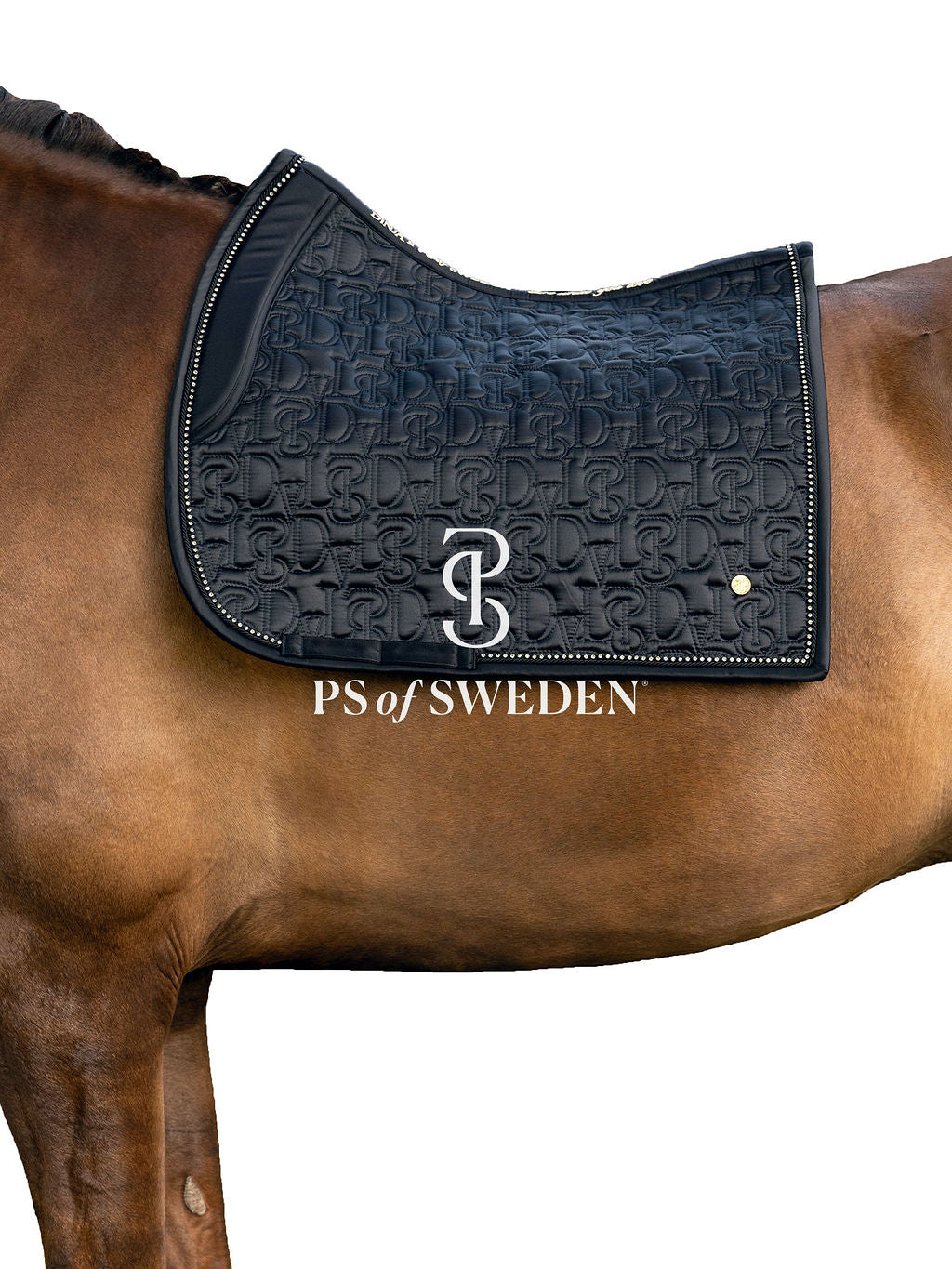 Racecourse bib Dinja Collection Anatomical construction 3 colors Ps of Sweden