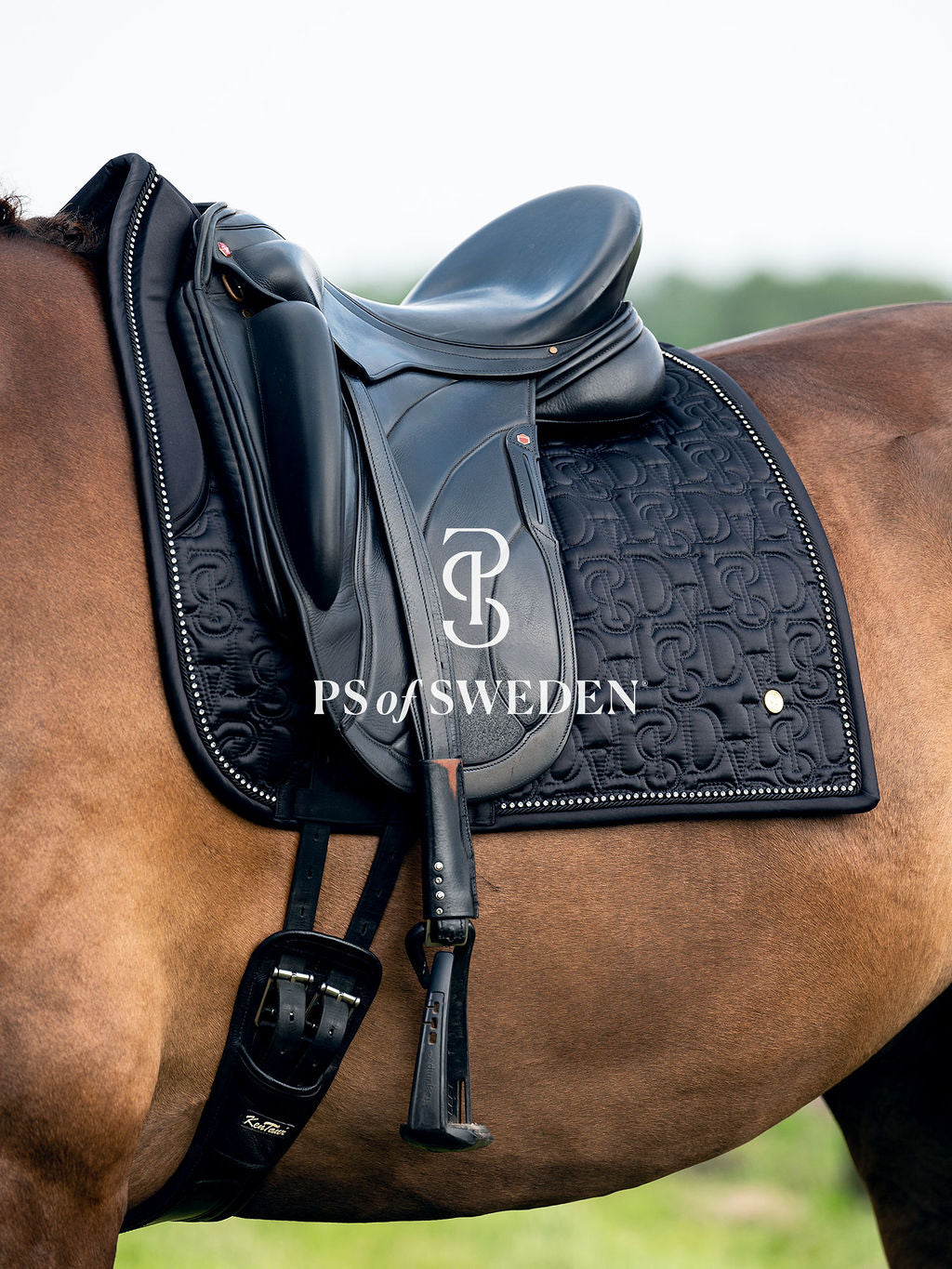 Racecourse bib Dinja Collection Anatomical construction 3 colors Ps of Sweden