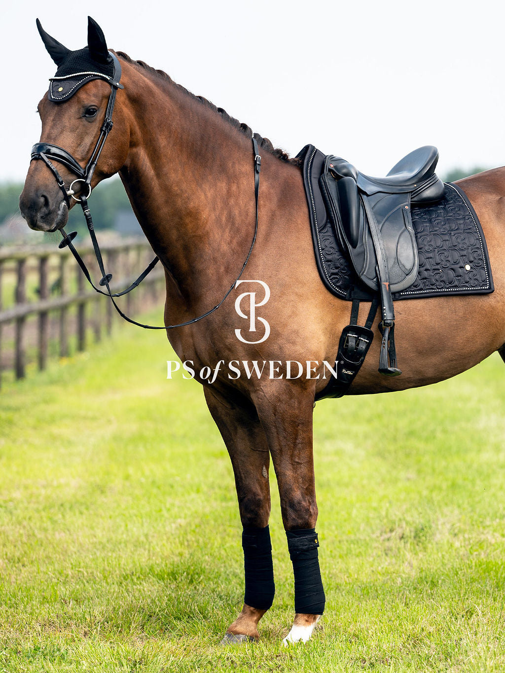 Racecourse bib Dinja Collection Anatomical construction 3 colors Ps of Sweden