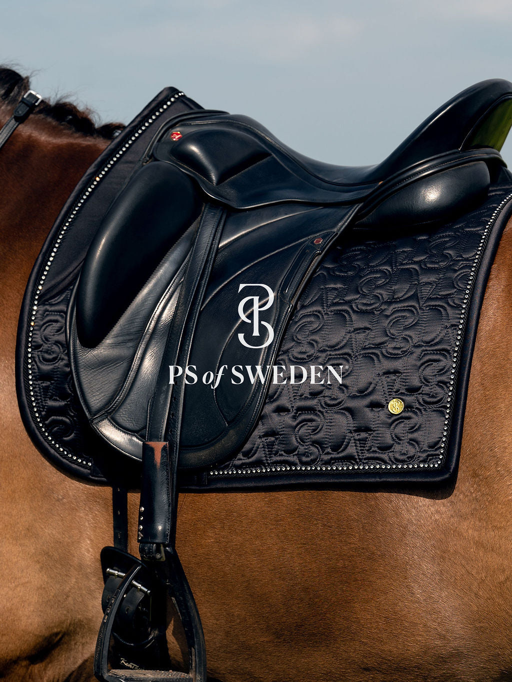 Racecourse bib Dinja Collection Anatomical construction 3 colors Ps of Sweden