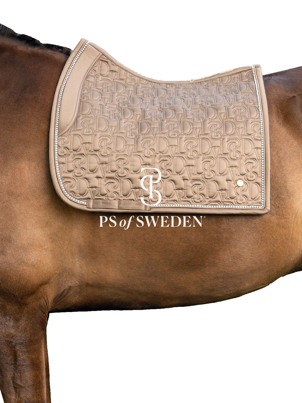 Racecourse bib Dinja Collection Anatomical construction 3 colors Ps of Sweden