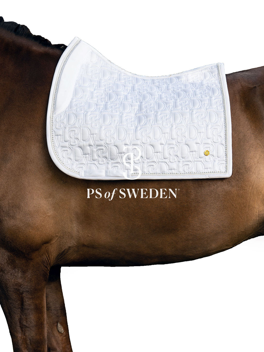Racecourse bib Dinja Collection Anatomical construction 3 colors Ps of Sweden