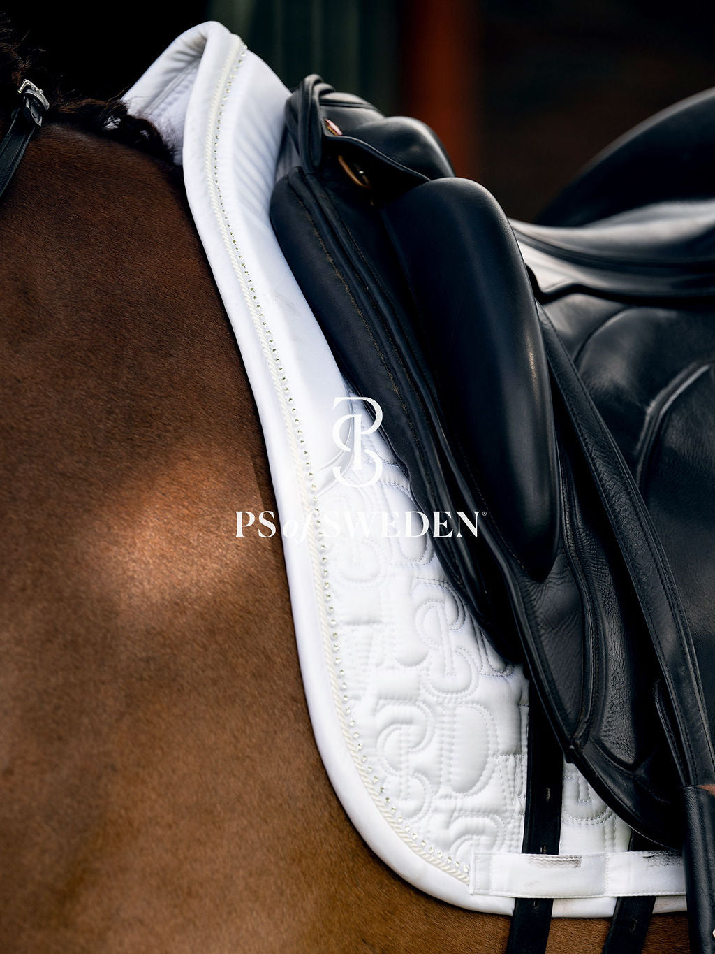 Racecourse bib Dinja Collection Anatomical construction 3 colors Ps of Sweden