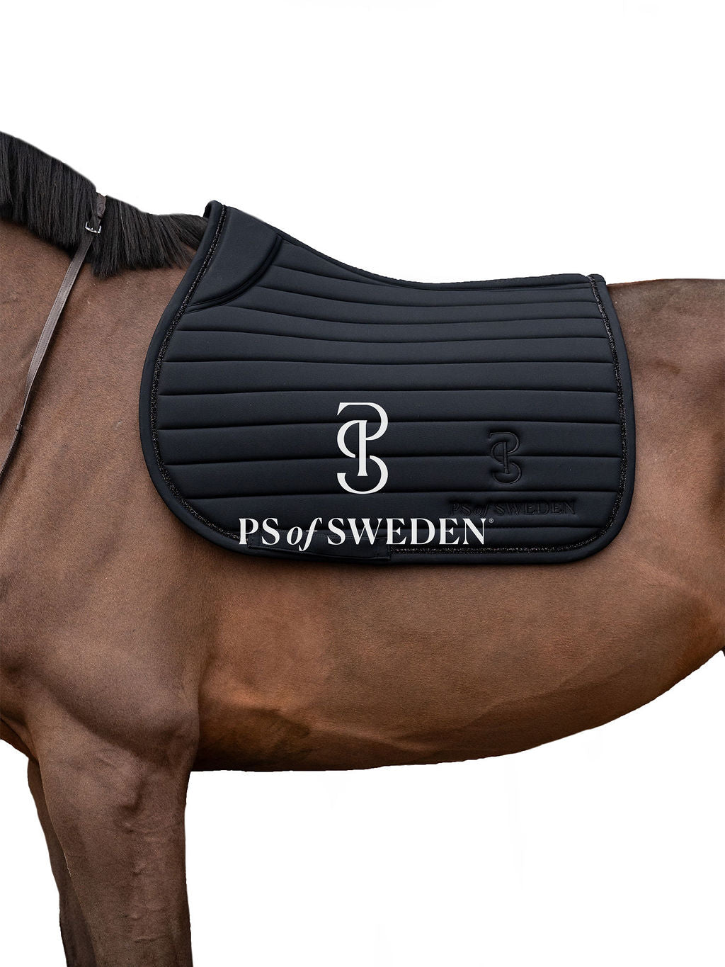 【限定】ストライプゼッケン 障害/馬場 ブラック PS of Sweden