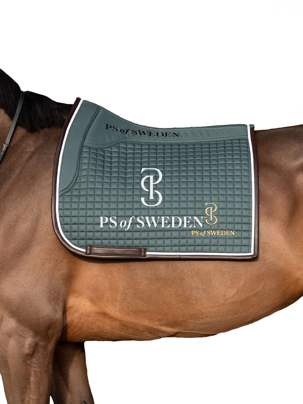 滑り止め付き乗馬用ゼッケン 障害/馬場 アナトミカル構造 Ps of Sweden ダークグレー/ストームブルー