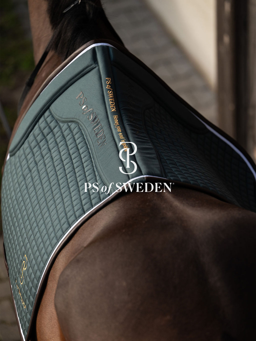 滑り止め付き乗馬用ゼッケン 障害/馬場 アナトミカル構造 Ps of Sweden ダークグレー/ストームブルー
