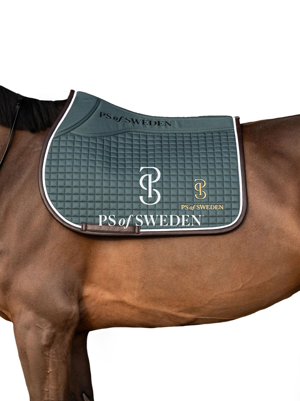 滑り止め付き乗馬用ゼッケン 障害/馬場 アナトミカル構造 Ps of Sweden ダークグレー/ストームブルー