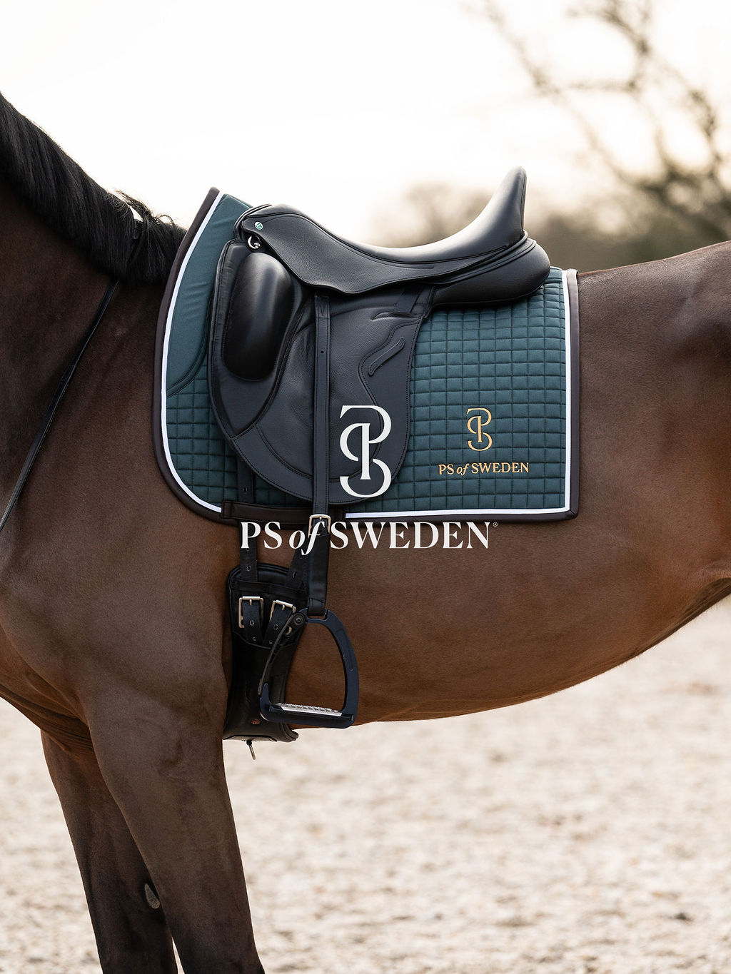 滑り止め付き乗馬用ゼッケン 障害/馬場 アナトミカル構造 Ps of Sweden ダークグレー/ストームブルー