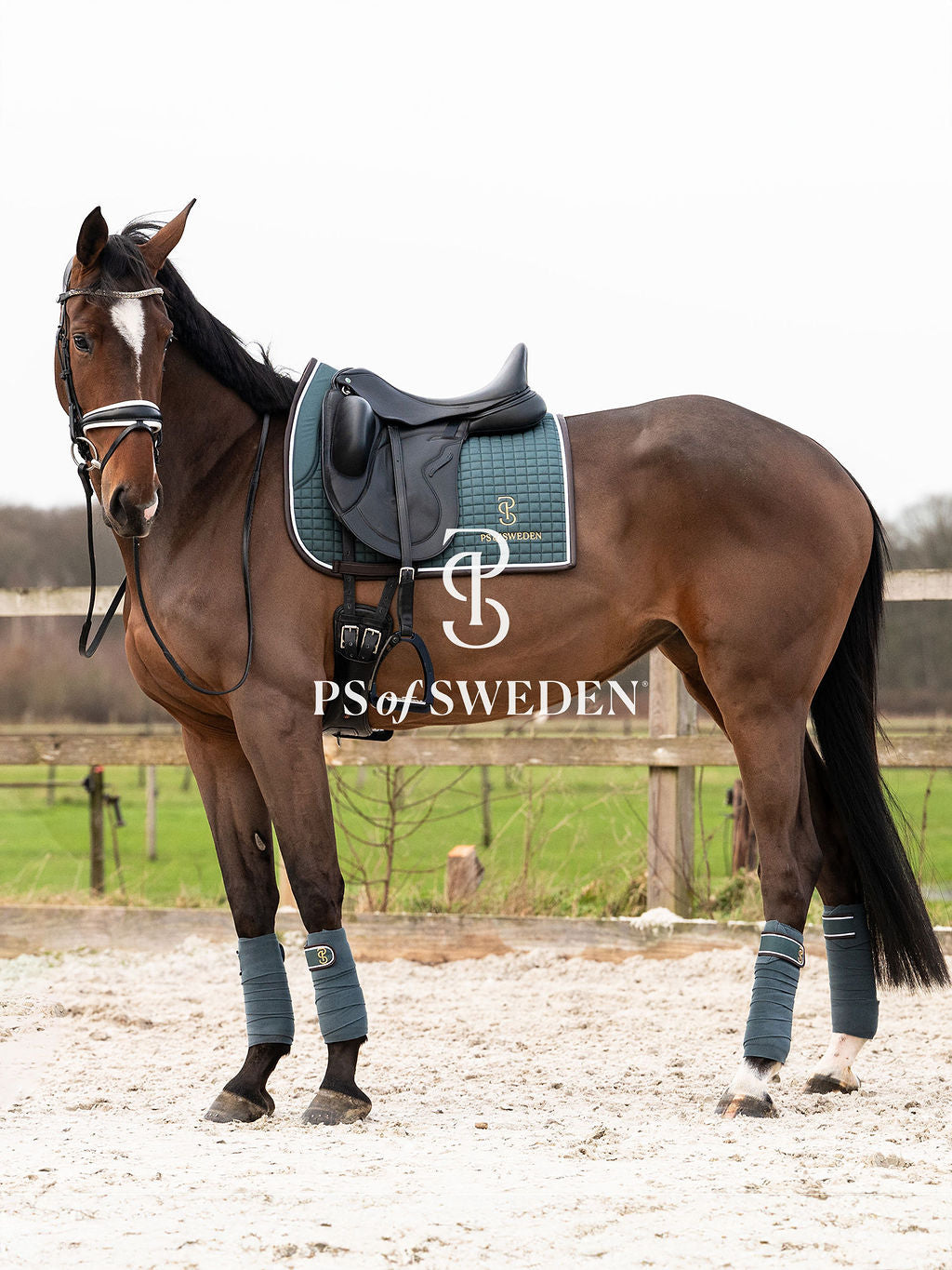 滑り止め付き乗馬用ゼッケン 障害/馬場 アナトミカル構造 Ps of Sweden ダークグレー/ストームブルー