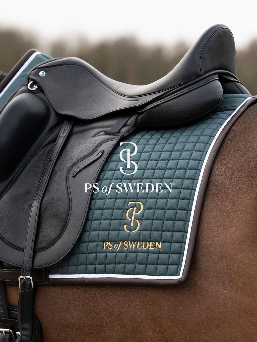 滑り止め付き乗馬用ゼッケン 障害/馬場 アナトミカル構造 Ps of Sweden ダークグレー/ストームブルー