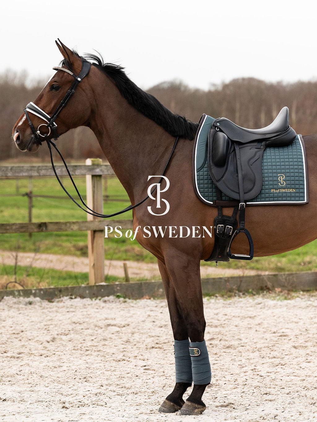 滑り止め付き乗馬用ゼッケン 障害/馬場 アナトミカル構造 Ps of Sweden ダークグレー/ストームブルー