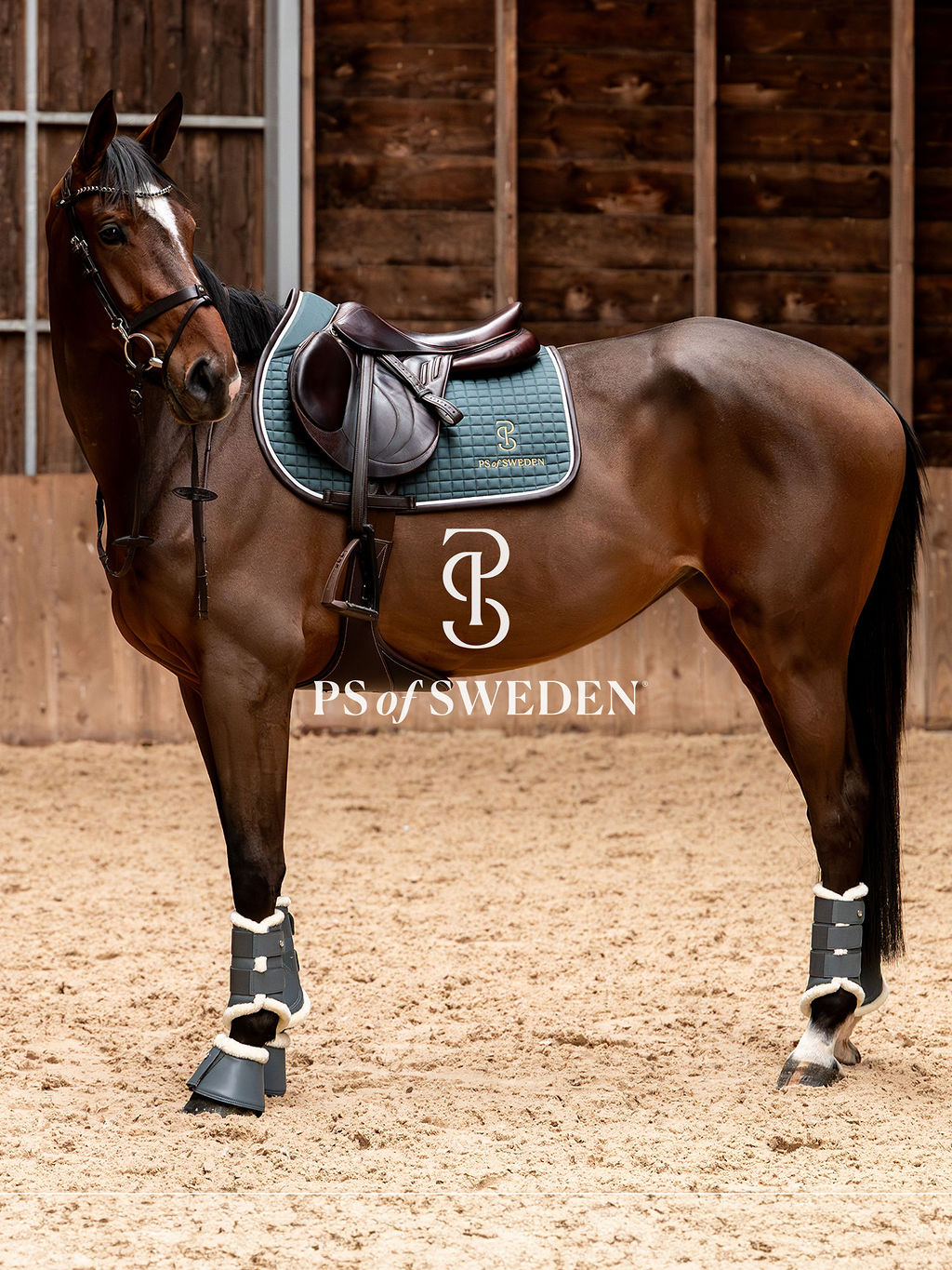 滑り止め付き乗馬用ゼッケン 障害/馬場 アナトミカル構造 Ps of Sweden ダークグレー/ストームブルー