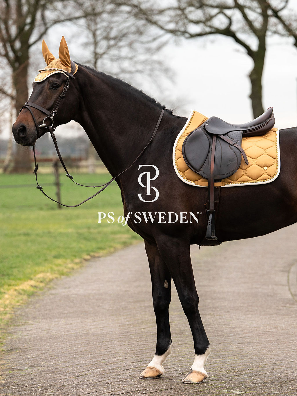 Satin Ear Net Golden/Roasted Brown PS of Sweden