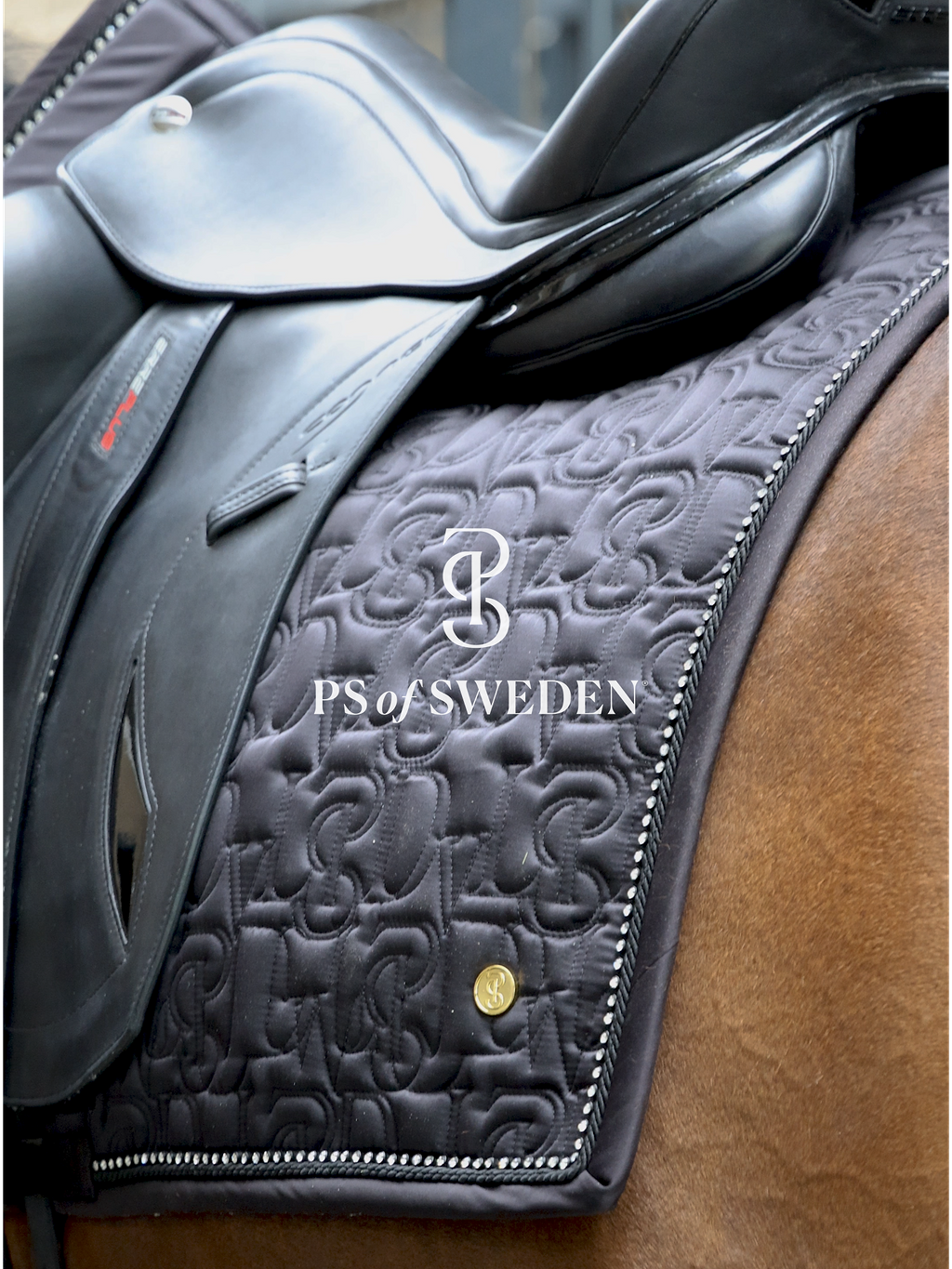 Racecourse bib Dinja Collection Anatomical construction 3 colors Ps of Sweden