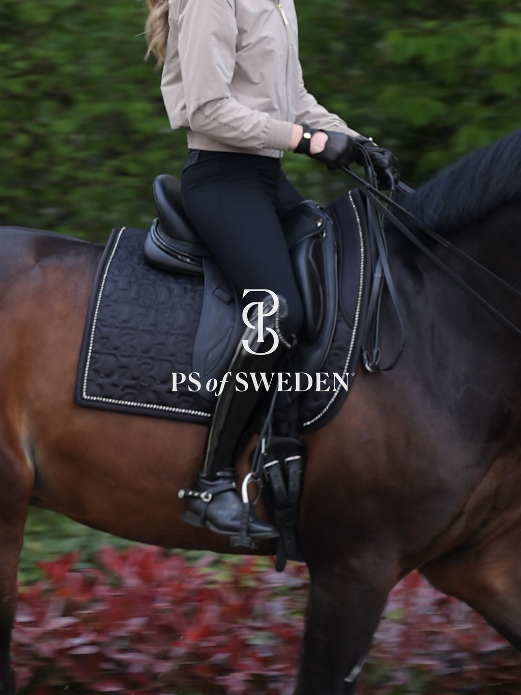 Racecourse bib Dinja Collection Anatomical construction 3 colors Ps of Sweden