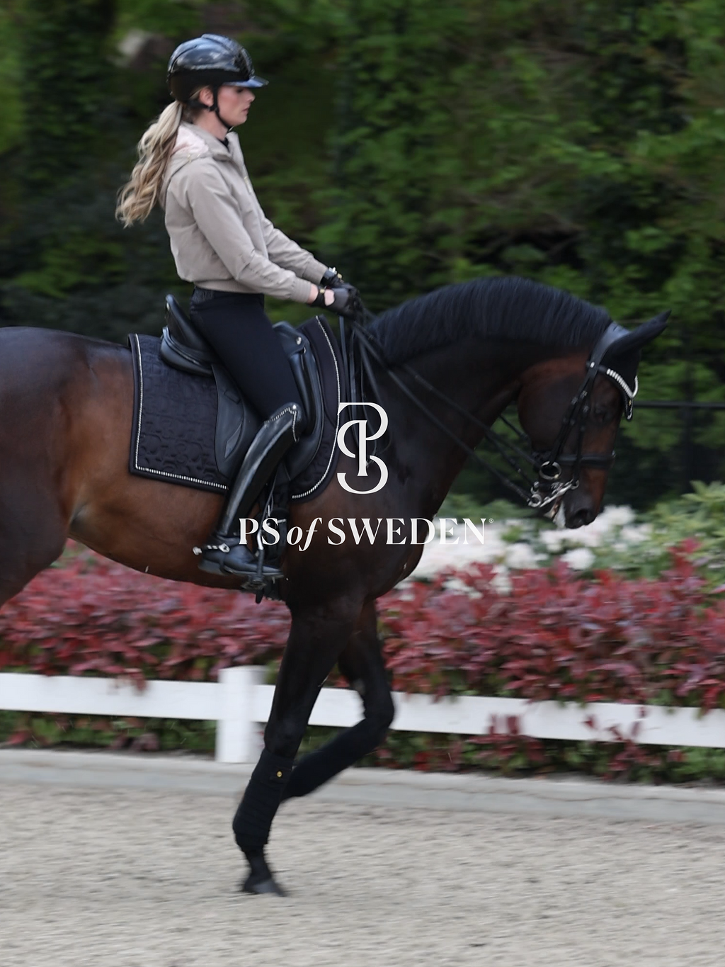 Racecourse bib Dinja Collection Anatomical construction 3 colors Ps of Sweden