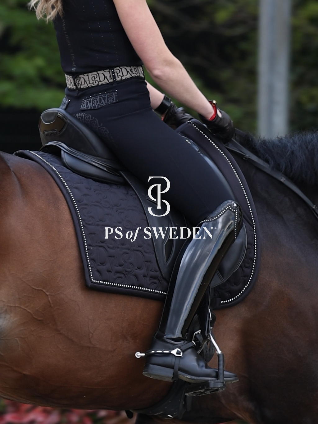 Racecourse bib Dinja Collection Anatomical construction 3 colors Ps of Sweden